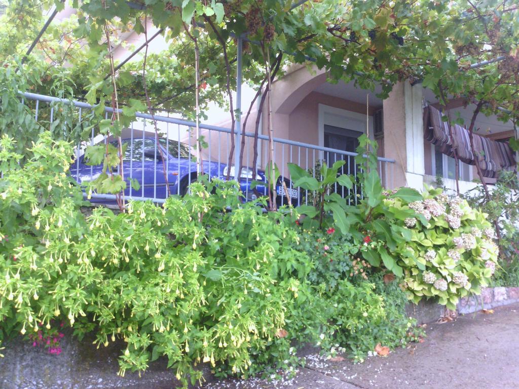 米特罗维奇波德里卡克公寓式酒店 斯韦蒂·斯特凡 外观 照片